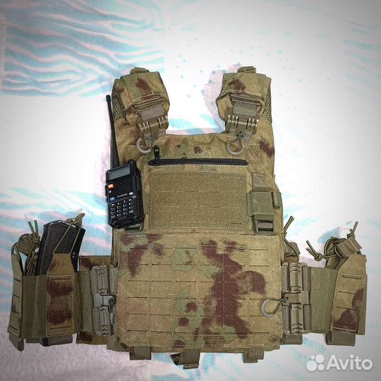 Плитник мох