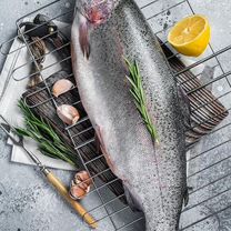 Форель живая опт и розница, Ялта