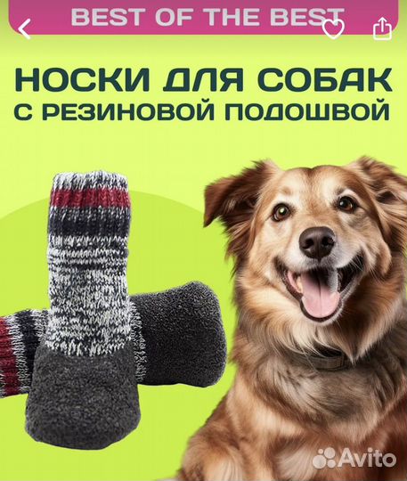 Обувь для собак мелких пород