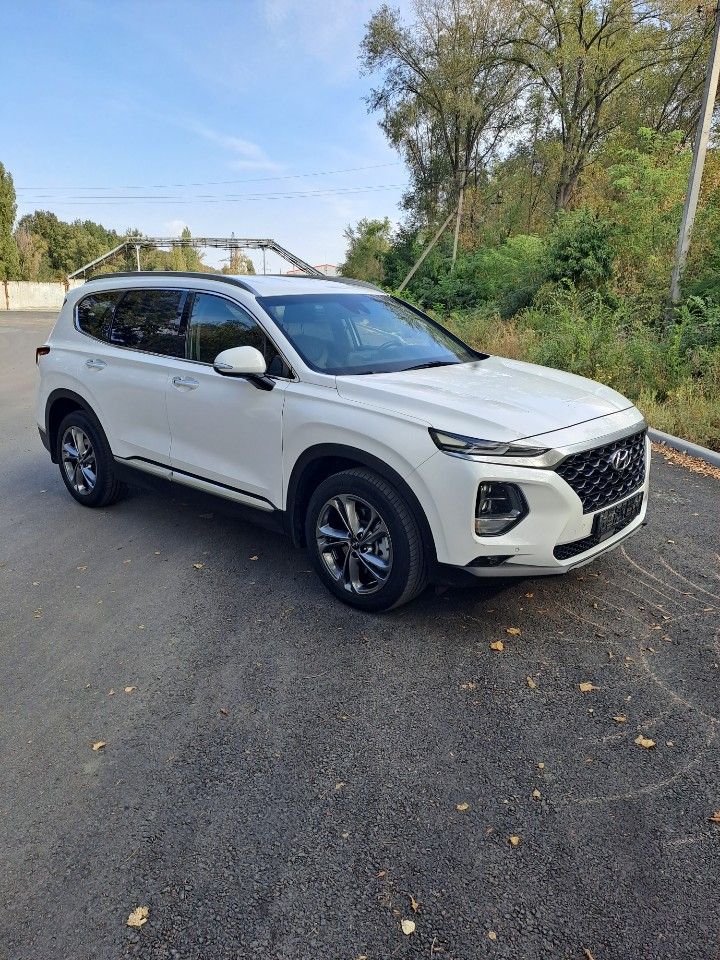 Hyundai Santa Fe: фото владельца