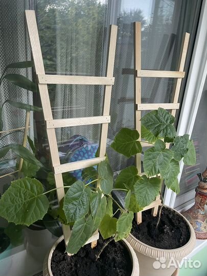 Опора для растений