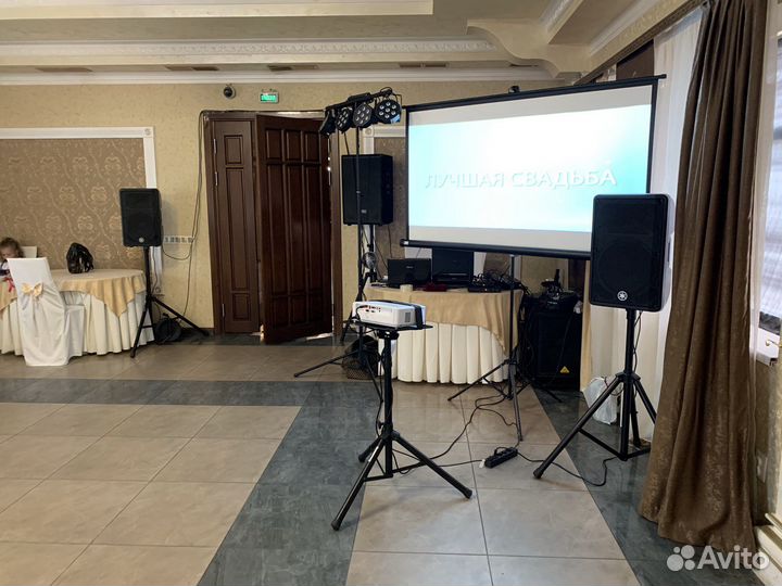 Аренда проектора и экрана