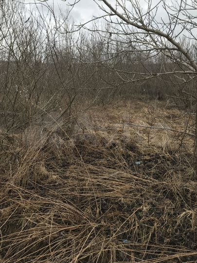 Участок 6 сот. (ИЖС)