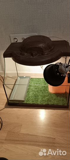 Террариум для сухопутной черепахи