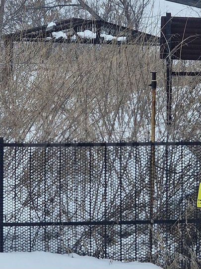 Участок 14 сот. (ИЖС)