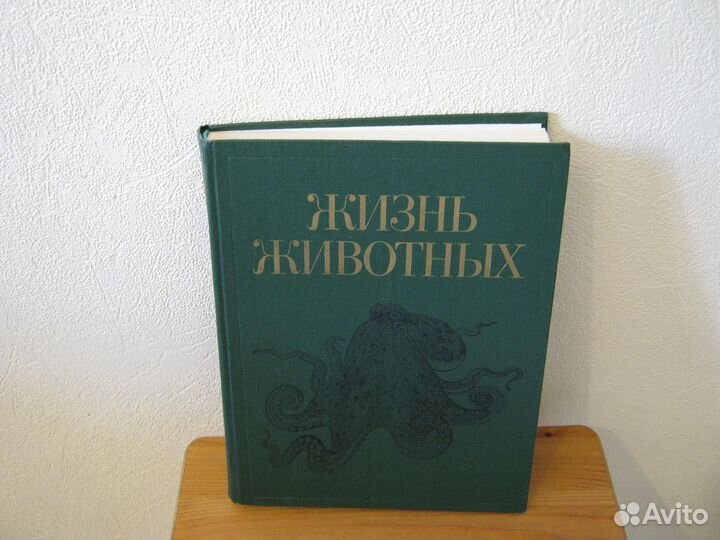 Энциклопедия 