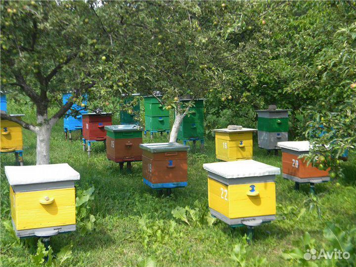 Улей для пчел бу