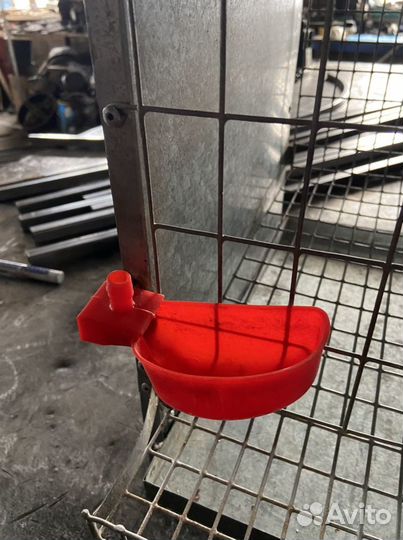 Клетки для перепелов