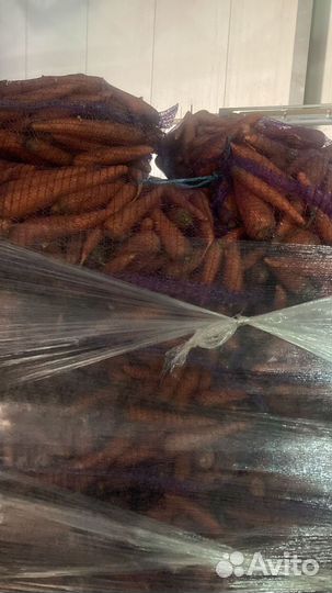 Морковь оптом