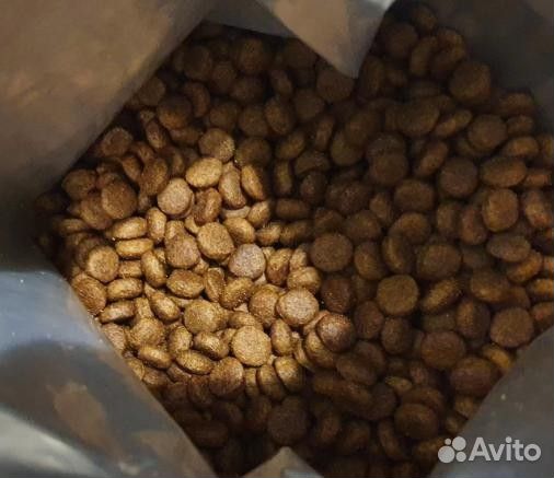 Корм для собак грандорф новый