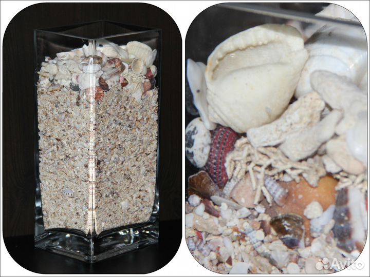 Декор / ракушки, кораллы, морские звезды / 1,7 л