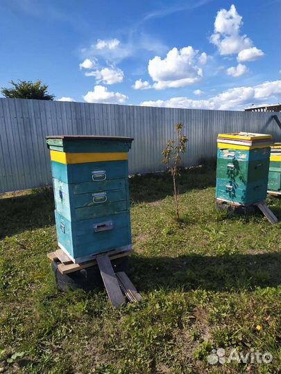 Забрус, медовуха, заготовки для рамок