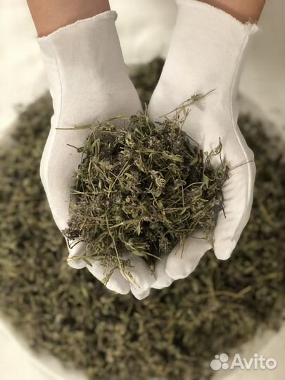 Запарка из чайной розы для бани