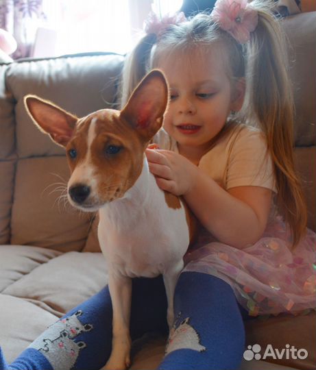 Девочка Баффи от Чемпионов