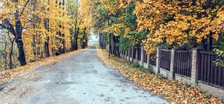 Участок 21,6 сот. (ИЖС)