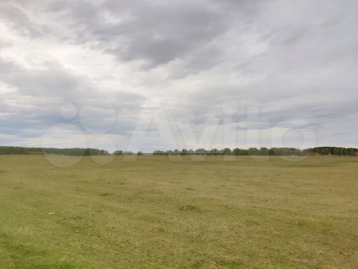 Участок 33 га (ИЖС)