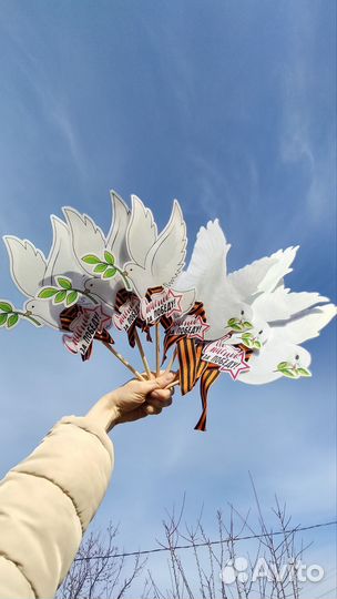 9 мая голубь