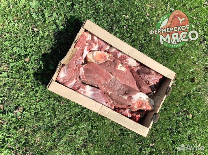 Мясо говядина