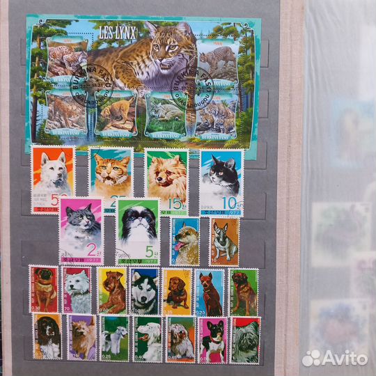 Почтовые марки и блоки фауна