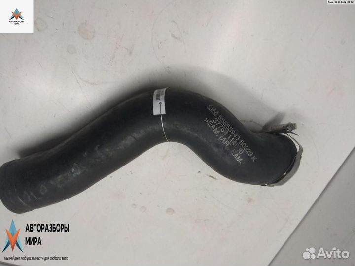 Патрубок интеркулера Opel Signum C 2004 55555943