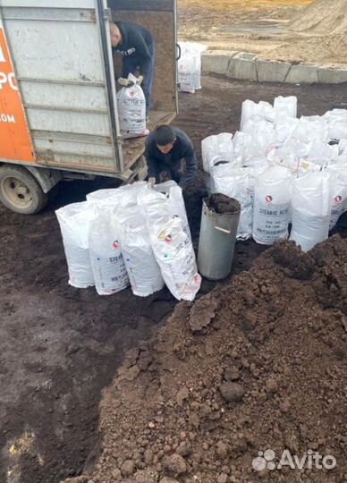 Перегной навалом