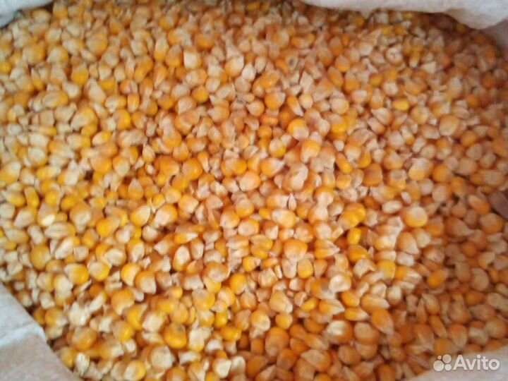 Кукуруза дробленая