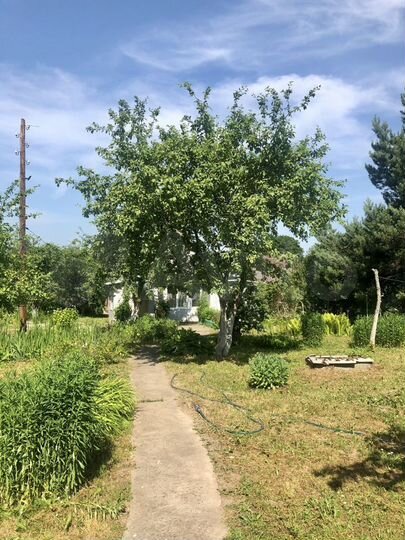 Дача 76,9 м² на участке 16 сот.