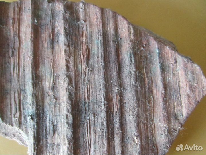 Окаменелость Окаменелое дерево. Сигиллярия