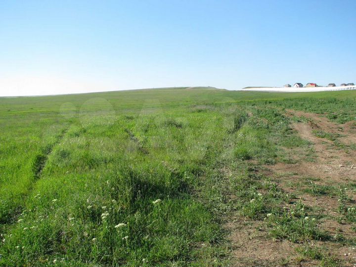 Участок 61 сот. (СНТ, ДНП)