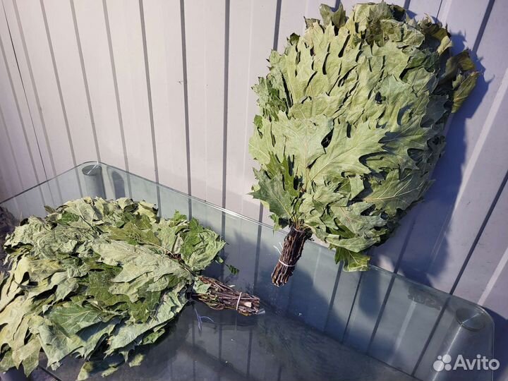 Канадский дуб опт и розница