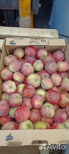 Яблоки оптом