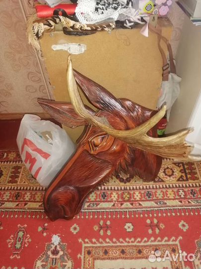 Продам рога оленя