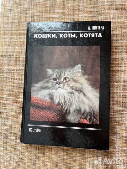 Книга Кошки, коты, котята