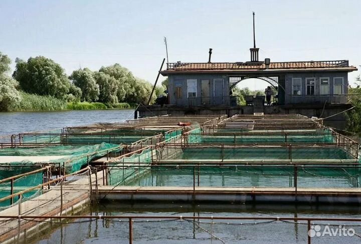 Тур Уикенд на Волге на 1 ночь от 4* завтраки