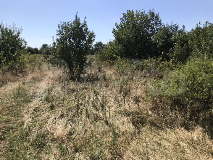 Участок 15,9 сот. (ИЖС)