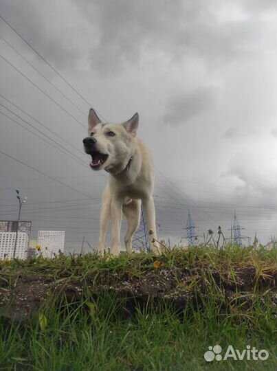 Кабель для вязки