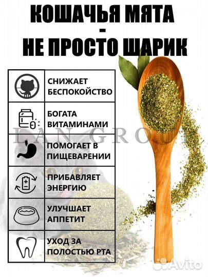 Кошачья мята