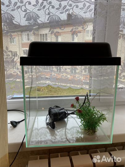 Аквариум