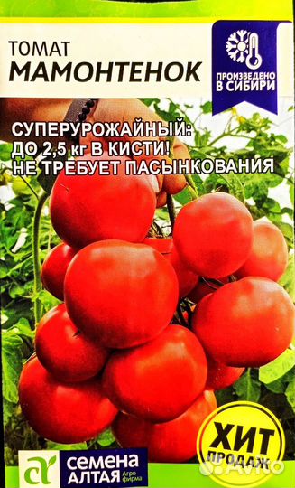 Томат 