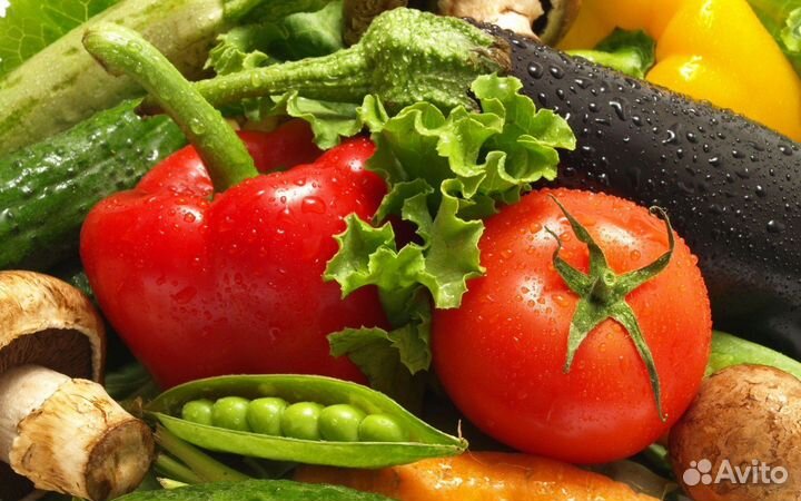 Упаковщики, разнорабочие в теплицу на овощи