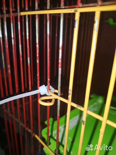 Клетка для грызунов