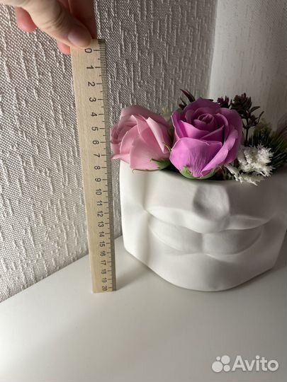 Губы Давида