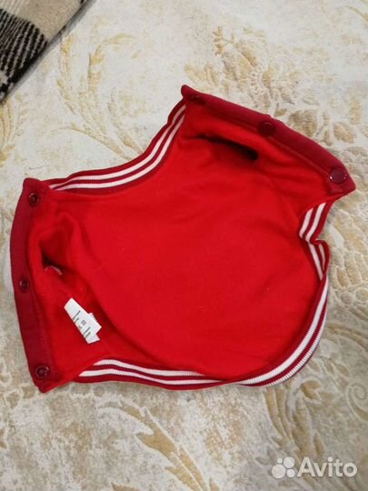 Одежда для маленьких собак