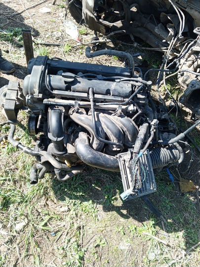 Двигатель ford focus 2 1.6 100 л с