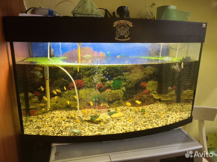 Аквариум с тумбой и рыбками