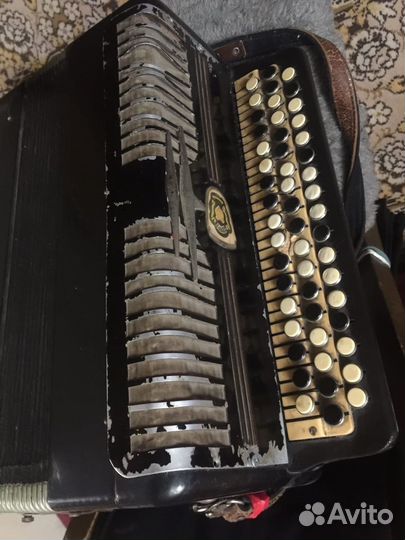 Аккордеон
