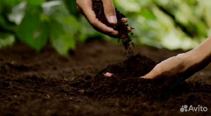 Трехкомпонентный грунт