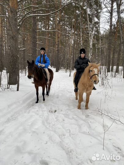 Верховые прогулки