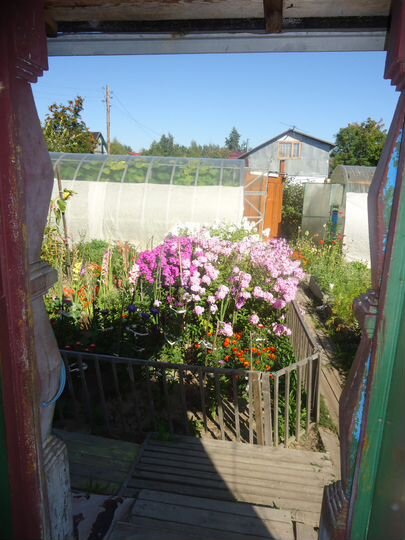 Дача 36 м² на участке 8 сот.