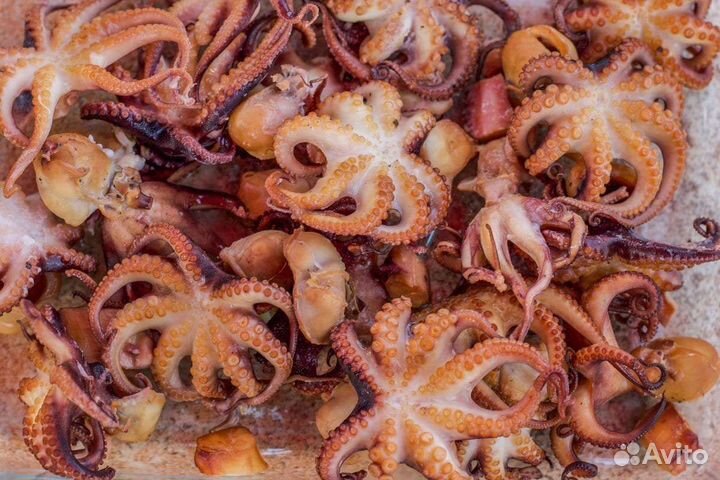 Осьминоги